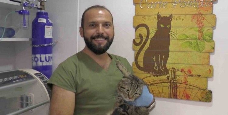 "Kedi virüsü gebeliği sonlandırabilir"
