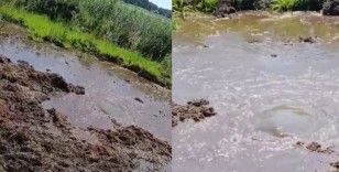 Buldan Yayla Gölünde temizleme çalışmaları esnasında su kaynağı bulundu
