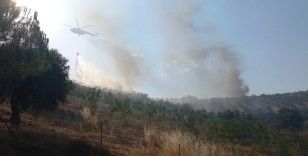 Manisa'da 50 hektar alan kül oldu