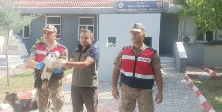 Aralık ilçesinde bulunan leylek koruma altına alındı
