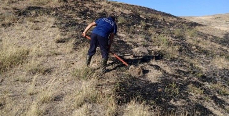 Malatya’da 3 ayrı noktada ot yangını
