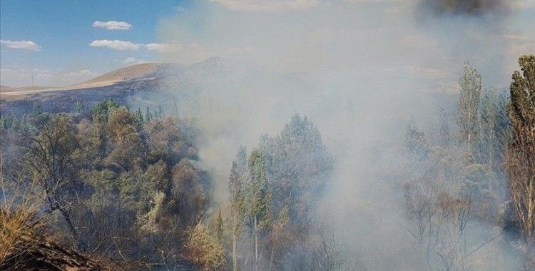 Sivas'ta ağaçlık alanda çıkan yangını söndürme çalışmaları sürüyor