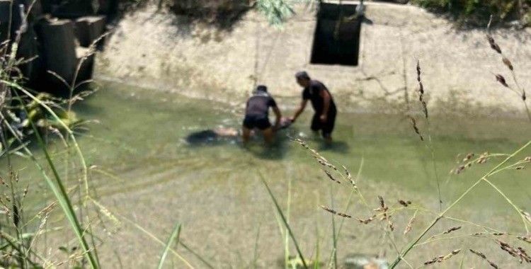 Sulama kanalında erkek cesedi bulundu
