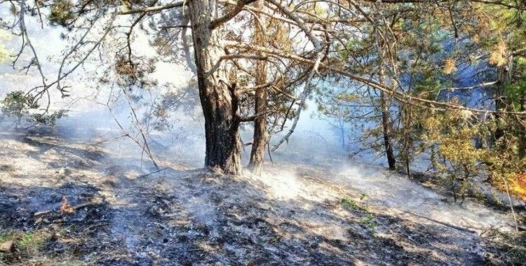 Kastamonu’da çıkan orman yangını büyümeden söndürüldü
