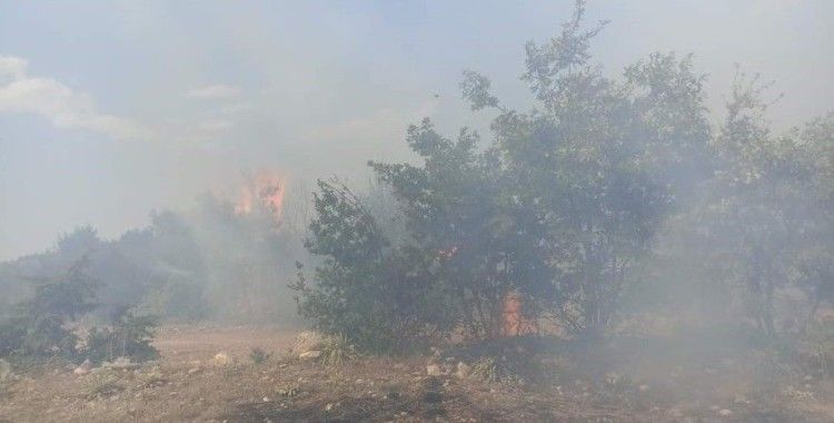 Han’da çıkan yangın büyümeden söndürüldü
