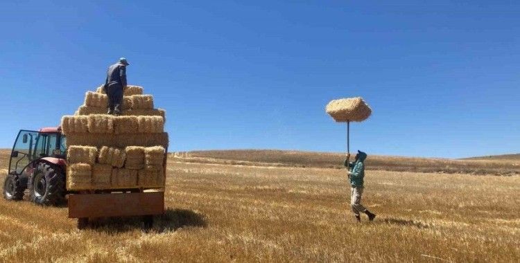 Kavuran sıcakta dondurucu kışa hazırlık
