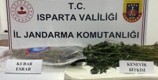 Isparta'da uyuşturucu operasyonu: 1 tutuklama