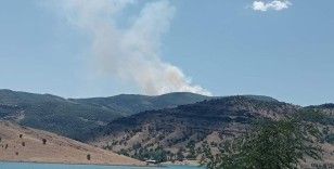 Tunceli’de orman yangını
