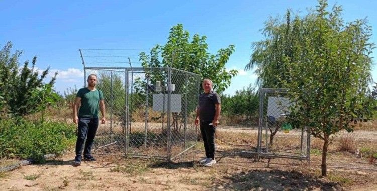 Beyşehir’de meyve bahçelerinde zararlılara karşı seferberlik
