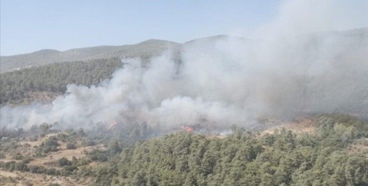 Muğla'nın Milas ilçesinde çıkan orman yangınına müdahale ediliyor