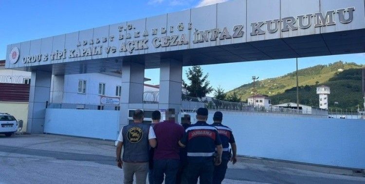 Ordu’da yasadışı kenevir ekimi yapan 2 kişi tutuklandı
