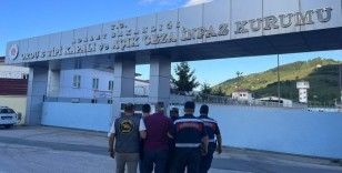 Ordu’da yasadışı kenevir ekimi yapan 2 kişi tutuklandı
