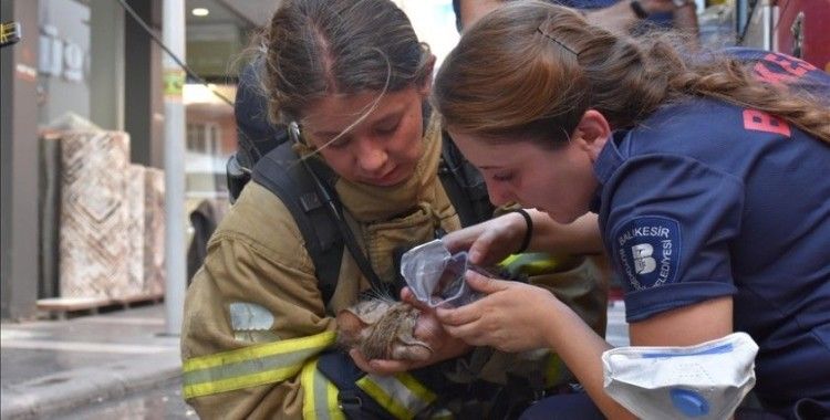 Balıkesir'de yangında dumandan etkilenen kedi kadın itfaiyecinin verdiği oksijenle hayata tutundu