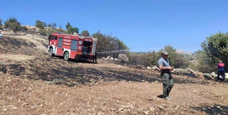 Anız yangını fıstık bahçelerine sıçradı
