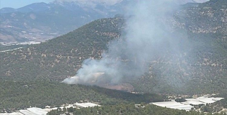 Mersin'de orman yangını çıktı