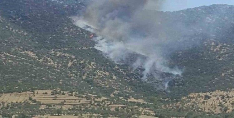 Nazilli’de makilik yangını
