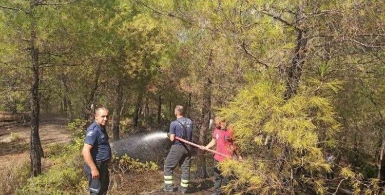 Yayladağı’nda örtü yangını
