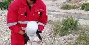 Kafasını bidona sıkıştıran yaramaz köpeğin yardımına itfaiye yetişti
