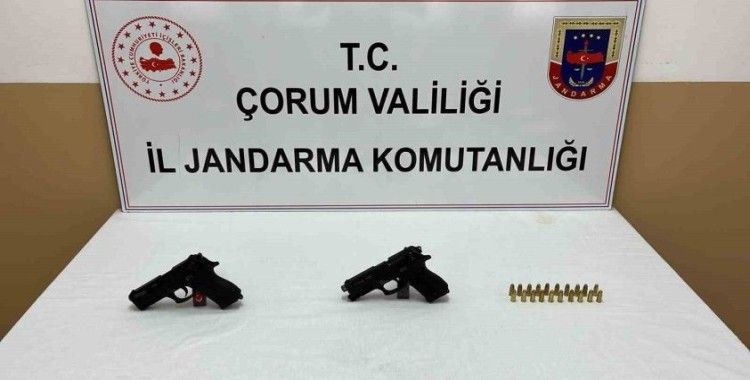 Jandarmanın durdurduğu araçta 2 tabanca ele geçirildi
