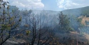 Bingöl'de çıkan orman yangını söndürüldü