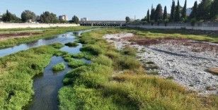 Hızlı tren köprüsü inşaatı nedeniyle DSİ, Seyhan Nehri yatağına su veremiyor
