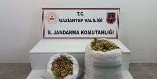 Gaziantep’te 515 kilo Antep fıstığı çalan 2 şüpheli suçüstü yakalandı
