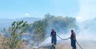 Ağaçlık alanda çıkan yangın itfaiye ekiplerinin müdahalesiyle söndürüldü
