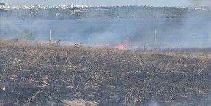 Avcılar'da otluk alanda çıkan yangın söndürüldü