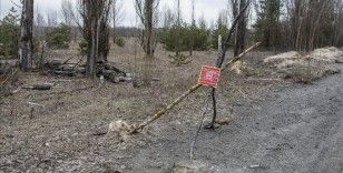 Ukrayna: Belarus'un sınırımızı ihlali durumunda askeri birlik ve tesislerini hedef alacağız