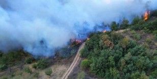 Bursa’da çıkan orman yangını 12 saat sonra kontrol altına alındı
