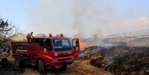 Arı kovanlarını tütsülemek için yakılan ateş ormana sıçradı, bir ev ve traktör küle döndü