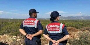 Aydın’da jandarma ekiplerinden Bafa Gölü’ndeki kuş ve balık türlerini korumak için yoğun denetim
