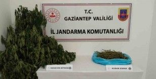 Gaziantep’te uyuşturucu operasyonu: 1 gözaltı
