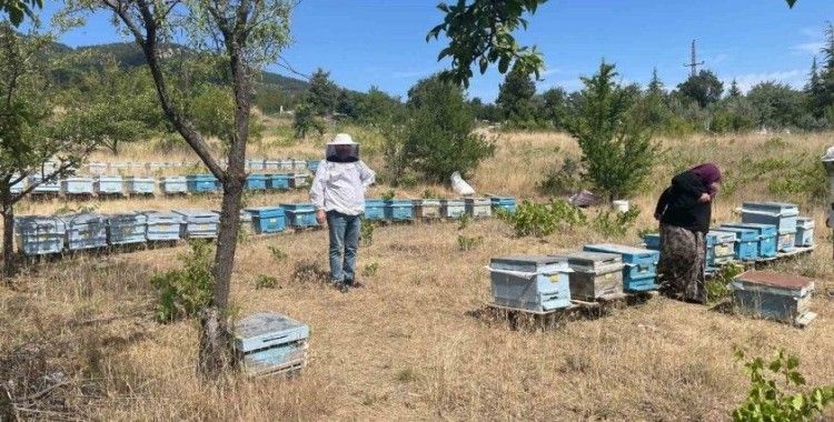 Beyşehir’de arılı kovan sayımları sürüyor
