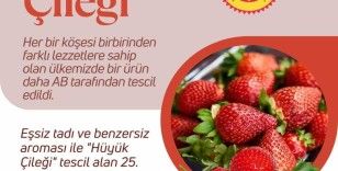 Hüyük çileği AB’den tescil aldı
