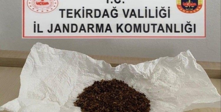 Tekirdağ’da Jandarma operasyonları: Uyuşturucu ve silah ele geçirildi
