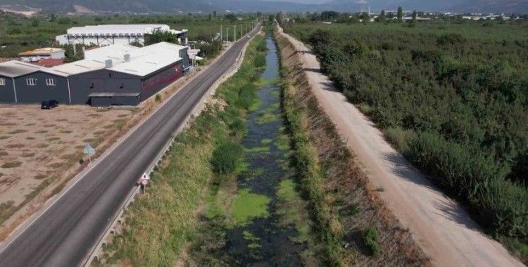 Bursa’da sulama kanalları kurudu, balık ölümleri başladı, şeftali ve armut kuruyor
