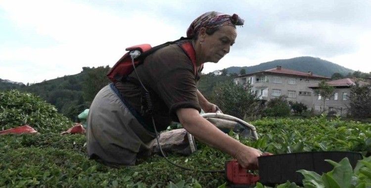 ÇAYKUR’un randevulu çay alım sistemine geçmesi üreticiyi sevindirdi
