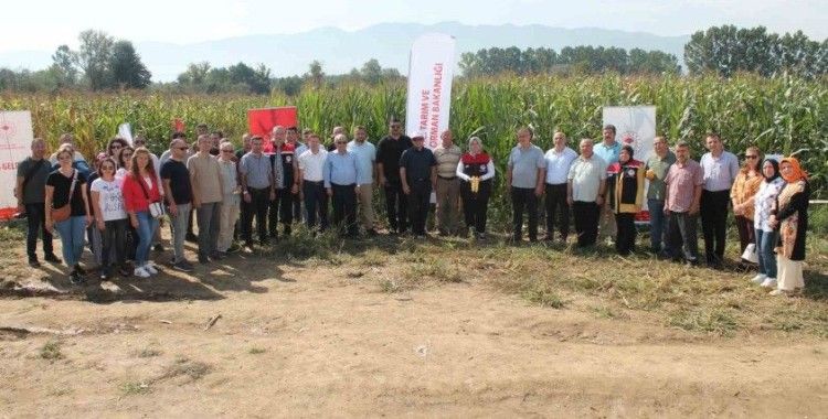 Düzce’de yerli silajlık mısır tarla günü düzenlendi
