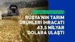 Rusya tarımdaki hamleleriyle küresel gıda ticaretinde önemli konuma yükseldi