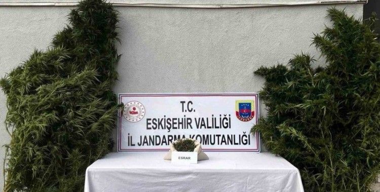 Uyuşturucu imal edip ticaretini yaptığı belirlenen şüpheli yakalandı
