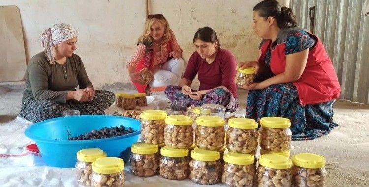 İncirköy Mahallesi’nde hasat dönemi sona erdi
