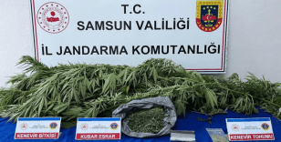 Jandarma ekiplerince uyuşturucu madde ele geçirildi