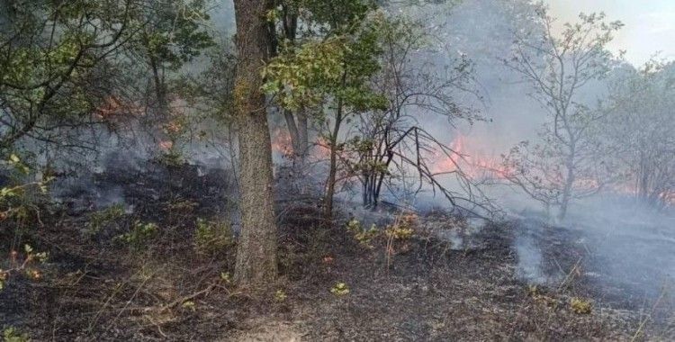 Pehlivanköy’de orman yangını söndürüldü
