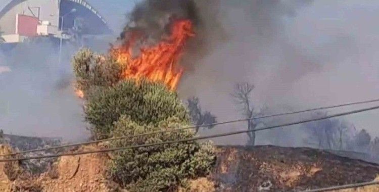 ADÜ’de yangın paniği
