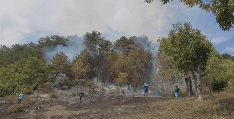 Karabük'te çıkan orman yangınında 15 dönüm alan zarar gördü