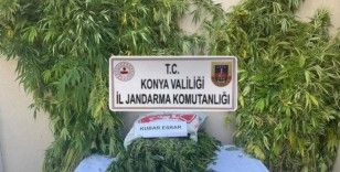 Konya’da jandarmadan uyuşturucu operasyonu: 2 gözaltı