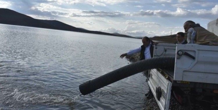 Bayburt’ta baraj ve göletlere 574 bin yavru balık bırakıldı
