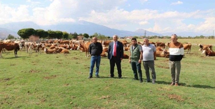 Erzincan Mera Islah Projeleri incelendi
