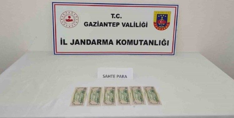 Kalpazanlık yapan şahsa jandarmadan suçüstü
